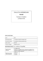 MLI/022 - Formation et Insertion professionnelle