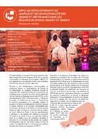 NIGER - Appui au développement de l'emploi et de l'employabilité des jeunes dans les régions de Dosso, Niamey et Zinder