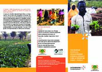 NIGER - Programme d'appui au développement agricole durable dans la région de Dosso - Phase II