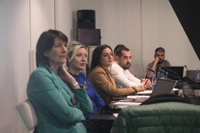 Attendees from the KIESA and the project