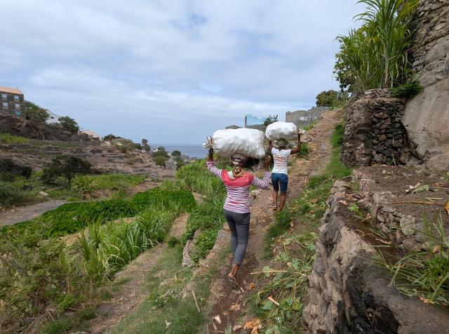 Agriculture au Cabo Verde