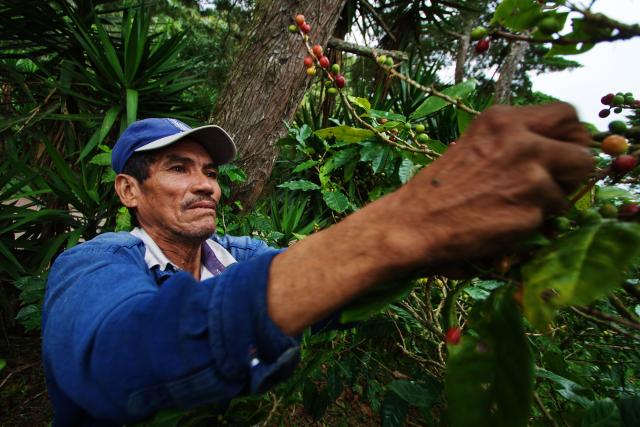 Homme agriculteur au Nicaragua