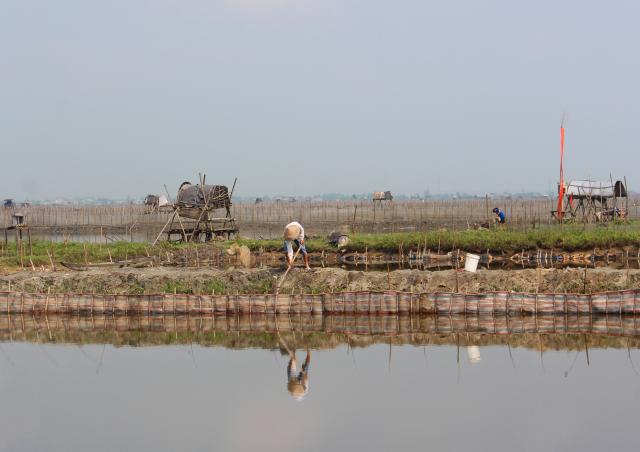 Agriculteurs au Vietnam