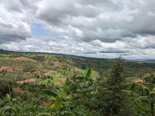 Forêts près du lac Muhazi au Rwanda