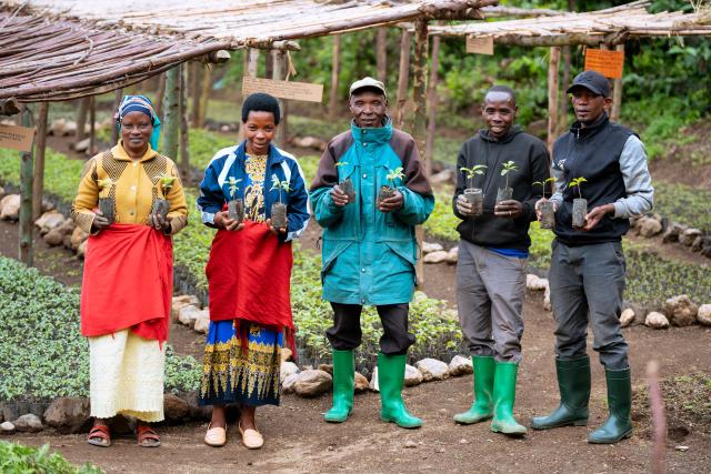 Workers in a tree nursery
