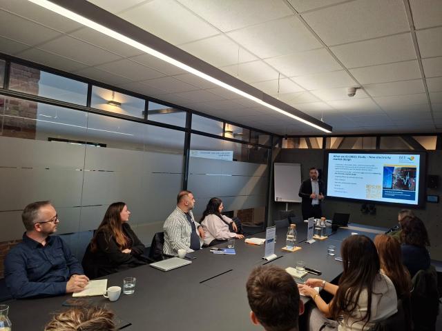Kosovo participants attending a presentation at German Renewable Energy Federation