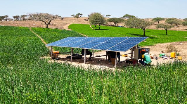 Champs verdoyant avec un panneau solaire au milieu