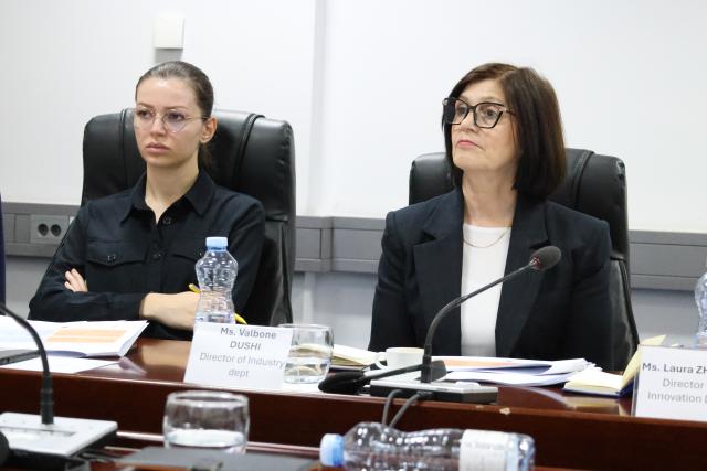 Participants at a steering committee meeting 